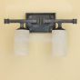5593-2 Contemporary/Transitional Wrought Iron Double Vanity Light