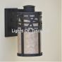 7446-1 Contemporary Wrought Iron Outdoor Light