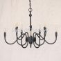 1172-10 Transitional Style Wrought Iron Chandelier