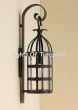 French Style wrought iron lantern light