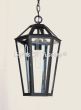 2200-1 Transitional Modern Style Iron Outdoor Hanging Pendant Light