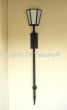 7961-1 Contemporary Style Outdoor Torch Wall Light