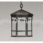 Spanish-Contemporary Wrought Iron Pendant Light 