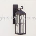 Spanish-Contemporary wrought Iron Outdoor Lighting/ Fixture