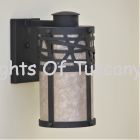 7446-1 Contemporary Wrought Iron Outdoor Light