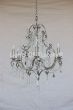 3536-6 Tuscan Style Crystal Chandelier in Antique Silver