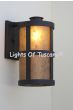 7420-1 Spanish / Contemporary Style Wrought Iron Outdoor Wall Light