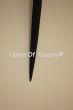 5046-1 Contemporary/Gothic Style Spear Torch Light