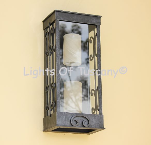 7850-2 Transitional  Style Indoor/Outdoor Wall Light