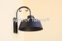 7346-1 Rustic Outdoor Iron Wall Light