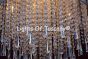 8010-8 Tuscan Style Wrought Iron Crystal Pendant Chandelier