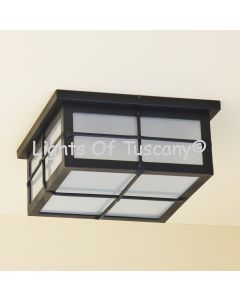 6630-2 Contemporary Style Flush Ceiling Indoor/Outdoor Light 