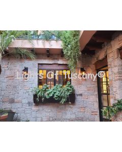 GALLERY 7003-1 & 7008-1