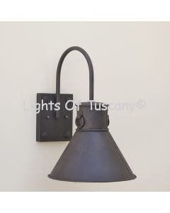 7343-1 Rustic Barn/Farmhouse Style Light