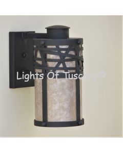 7446-1 Contemporary Wrought Iron Outdoor Light