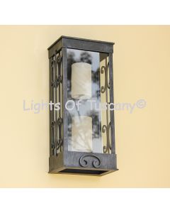 7850-2 Transitional  Style Indoor/Outdoor Wall Light