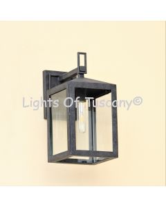 7866-1 Modern Contemporary Wrought Iron Lighting Fixture