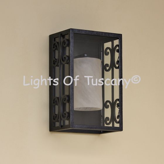 7851-1 Transitional Style Indoor/Outdoor Wall Light