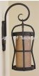 7840-1 Contemporary-Spanish Wrought Iron Light