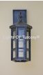 Contemporary Outdoor/ Exterior wrought iron Light fixture