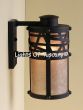7446-1 Contemporary Wrought Iron Outdoor Light