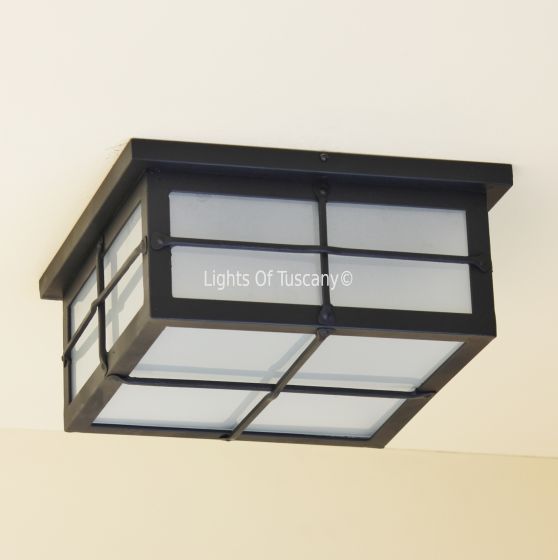 6630-2 Contemporary Style Flush Ceiling Indoor/Outdoor Light